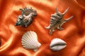 Shells