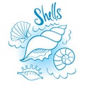 Shells