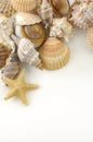 Shells