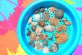 Shells in aqua beach sand sifter on multicolored boogie board Royalty Free Stock Photo