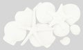 Shells, Art decor, white decorative plaster with clipping path i Royalty Free Stock Photo
