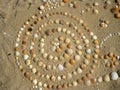 Shells