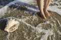 Shells on the beach. Foots in water Royalty Free Stock Photo