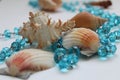 Shells and blue beads