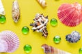 Shells on bright yellow. Beautiful summer background. Flat lay. Texture of the shells. Royalty Free Stock Photo