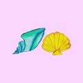 shells,clams, bright, colorful children\'s red, blue, yellow,lilac of different shapes,