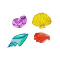 shells,clams, bright, colorful children\'s red, blue, yellow,lilac of different shapes