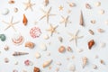 Shells, clams, starfish of different shapes and colors on a white background Royalty Free Stock Photo