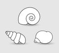 Shells Clipart