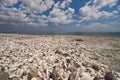 Shells on Corbu Beach