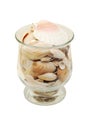 Shells in a glass jar Royalty Free Stock Photo