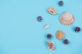 Shells on a light Blue Background Royalty Free Stock Photo