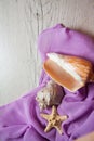 Shells on lilac background Royalty Free Stock Photo