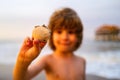 Shells at little kid hands. Child exploring nature. Cute, happy child holding shell at the beach.