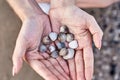 Shells lying in the palms, hand with shells on the beach background Royalty Free Stock Photo