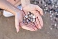 Shells lying in the palms, hand with shells on the beach background Royalty Free Stock Photo