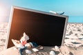 Shells pattern. Globe, seashell, airplane and starfish near black desk on sea beach in sunny day. Copy space of summer vacation Royalty Free Stock Photo