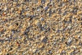 Shells and pebbles on a beach, Boracay Island, Philippines Royalty Free Stock Photo