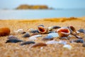 Shells and pebbles on the sandy beach in close up view. Sea background photo Royalty Free Stock Photo