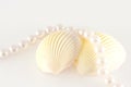 Shells and rope of pearls Royalty Free Stock Photo