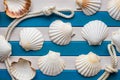 Shells and sailor rope on a wooden background. Sea concept. Stories background. Royalty Free Stock Photo