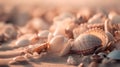 Shells on the sand macro shot Royalty Free Stock Photo