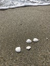 Shells, sand and the ocean. Nice and delicate.