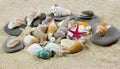 Shells on sand. starfish. treasure sea pearl sweetheart Royalty Free Stock Photo