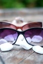 Shells, sand and sunglasses on a wooden table Royalty Free Stock Photo