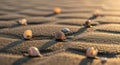 Shells scattered on rippled sand at Royalty Free Stock Photo