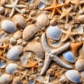 Shells and seastar pattern background. Royalty Free Stock Photo