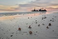 Shells on the shore. Willy rock. White Beach. Boracay island. Western Visayas. Philippines Royalty Free Stock Photo