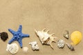 Shells and starfish on beach on sand Royalty Free Stock Photo