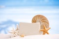 Shells and starfish with blank retro photo on white sand beach,