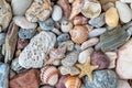 Shells, starfish and pebble stones Royalty Free Stock Photo