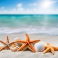 Shells and starfishes in a beach, blurred background. Royalty Free Stock Photo