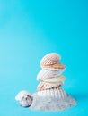 Shells on top of sand, isolated on blue, summer concept Royalty Free Stock Photo