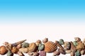 Shells of various types of marine mollusks on a blue to white gradient background Royalty Free Stock Photo