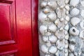 shells wall and red door