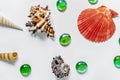 Shells on white. Beautiful summer background. Flat lay. Royalty Free Stock Photo