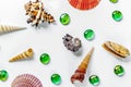 Shells on white. Beautiful summer background. Flat lay. Royalty Free Stock Photo