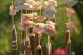 Shells Wind Chime. Gipsy Handmade Tropical Craftsmanship. Natural Beauty Countryside, Bohemian, Tribe. Royalty Free Stock Photo