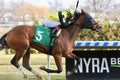 Shelley Ann winning at Aqueduct Racetrack