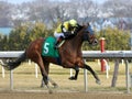 Shelley Ann winning at Aqueduct Racetrack