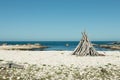 Shelter of branches on a deserted beach - 2 Royalty Free Stock Photo