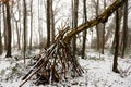 A shelter built by kids by trees in the woods, who are covered in snow on a foggy day. Royalty Free Stock Photo