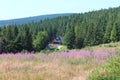 Shelter Hala Krupowa - Beskid Zywiecki, Poland Royalty Free Stock Photo