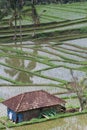 Shelter in Jatiluwih ricefields Royalty Free Stock Photo