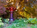 Sheltered garden under a Japanese maple Royalty Free Stock Photo