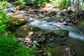 Sheltered Trout Stream in the Blue Ridge Mountains Royalty Free Stock Photo